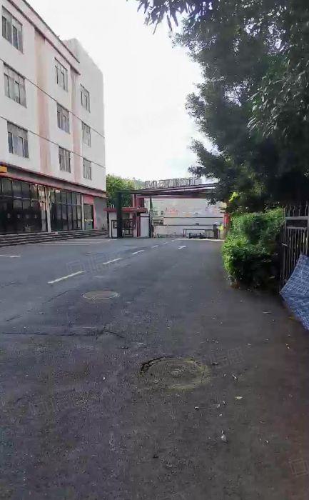 同乐厂房出租一楼仓库独门独院深圳物流园卸货平台分租超大空地