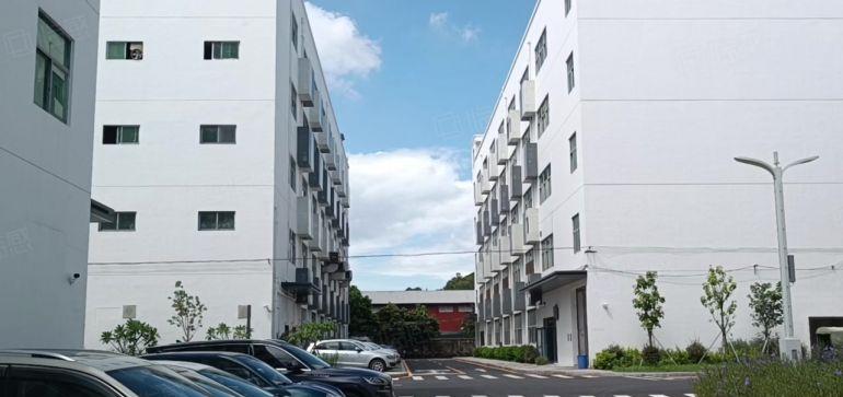 现成展厅龙岗中心城楼上1880精装修厂房仓库出租可分租