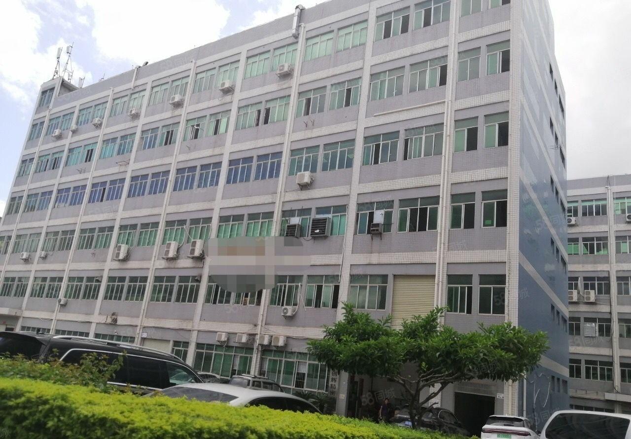 原房东1000平龙岗坪地厂房出租外环高速路口边带卸货平台