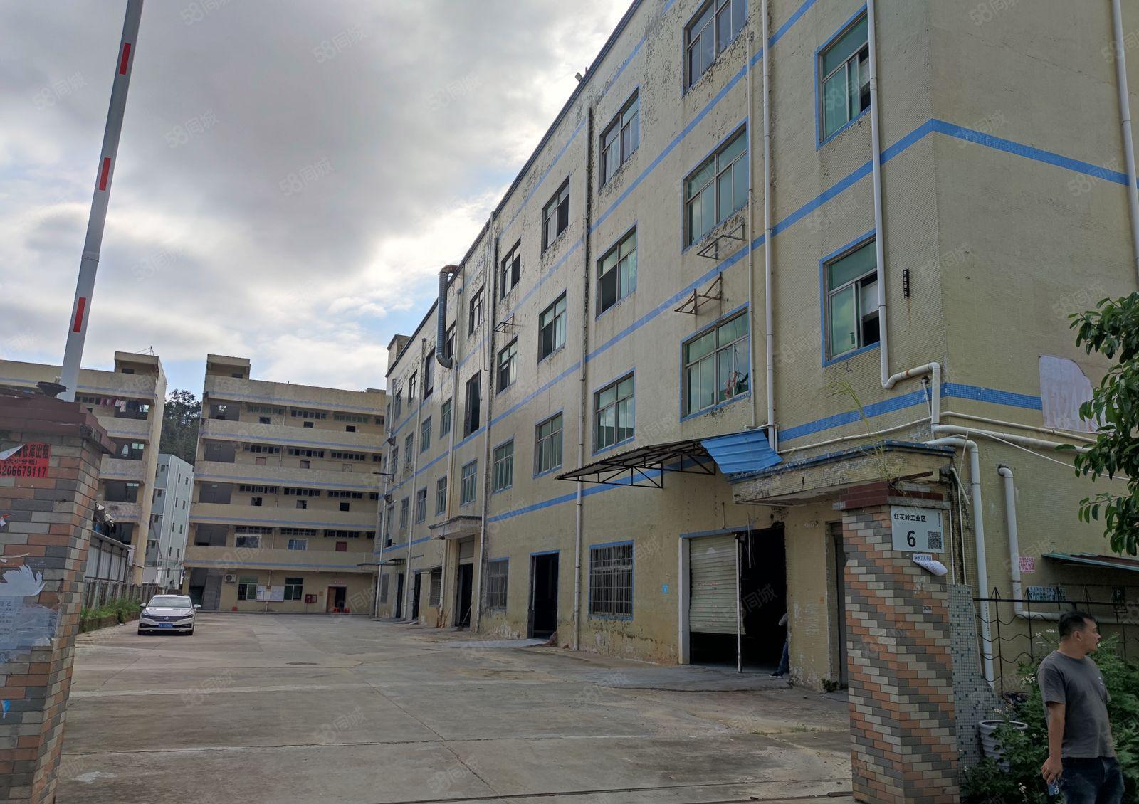 龙岗中心城南联第五工业区一楼厂房分租100至850平方