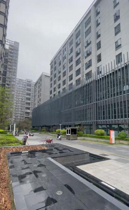 300起租平湖华南城地铁口5000平厂房仓库写字楼办公室出租