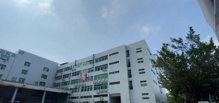 笋盘特价直租龙岗原房东工业区新出500平精装办公仓库厂房出租