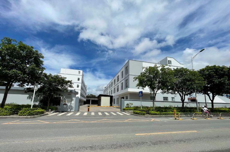 原房东合同10年！南联第五工业区红本独院5000平方厂房出租