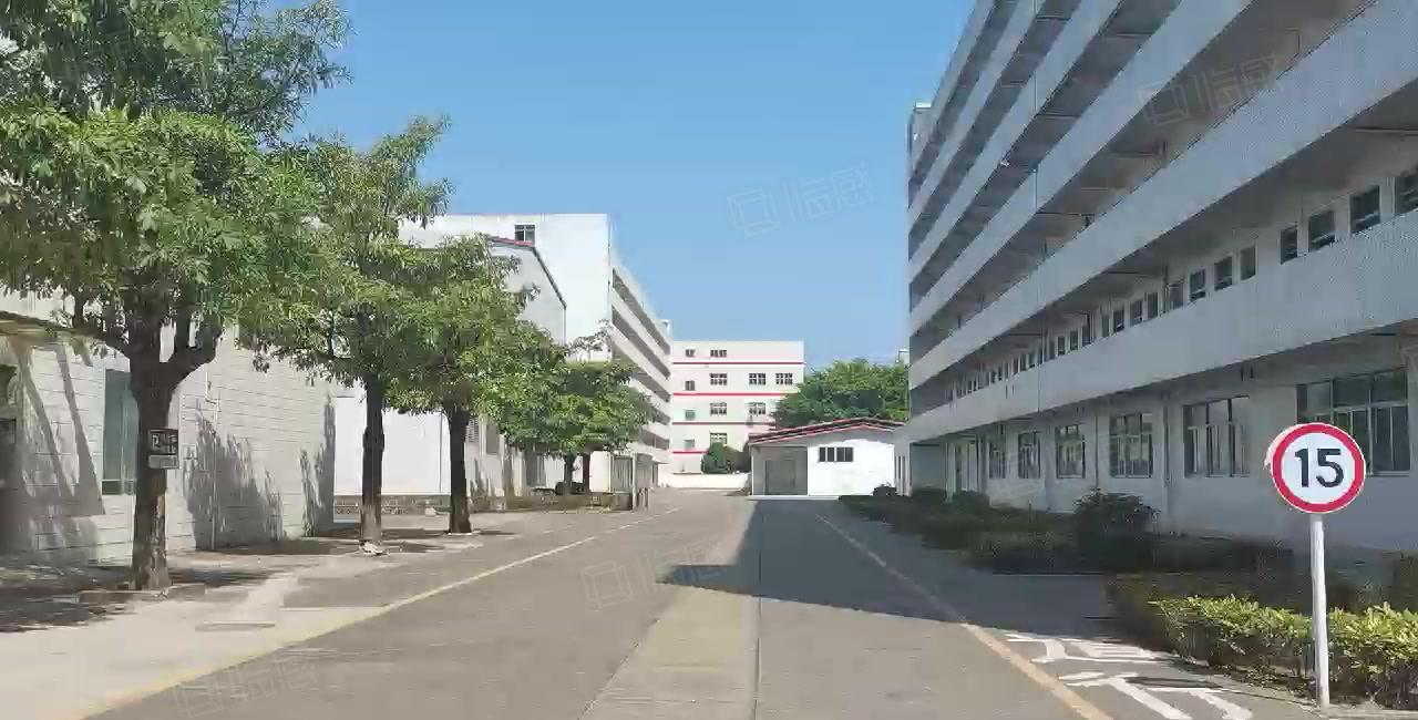 龙岗深汕路附近1000平起租全新钢构厂房出租报价26滴水7米