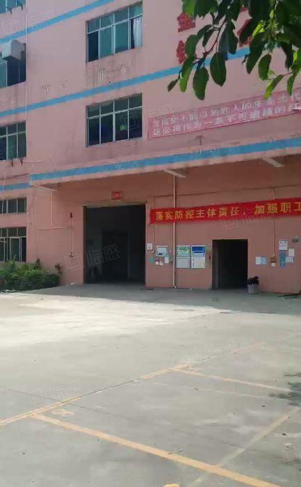 平湖华南城附近独院10800平厂房仓库出租分租可办环评形象好