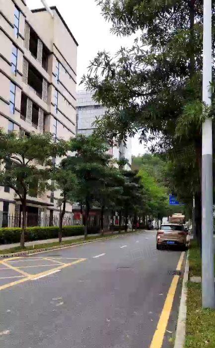 龙岗坪地电商园仓库厂房出租2000平200平起租一楼6米分租