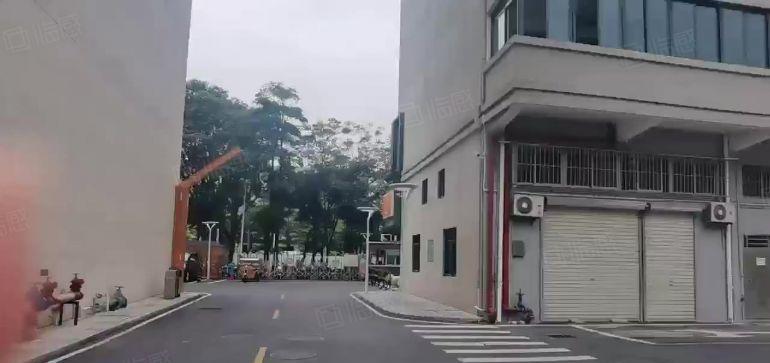 出租坂田电商园1000平厂房低价大小分厂房仓库出租转租