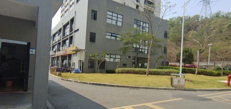 龙岗宝龙比亚迪旁原房东大型科技园3000平精装修红本厂房出租