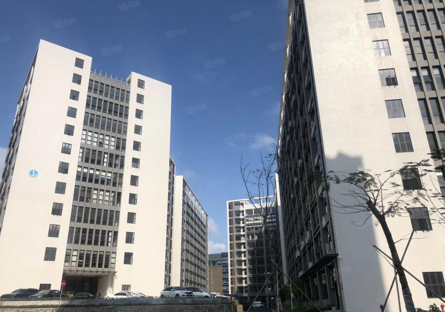 龙岗高桥低碳城新出1000平米精装修厂房出租