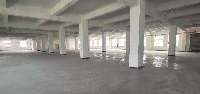 20元起租龙岗宝龙工业园新出一楼二楼1750平厂房出租可分租