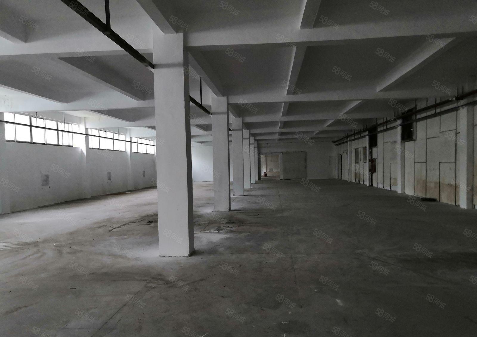 龙岗同乐15元厂房楼上单层2000m2二台二吨电梯可分租