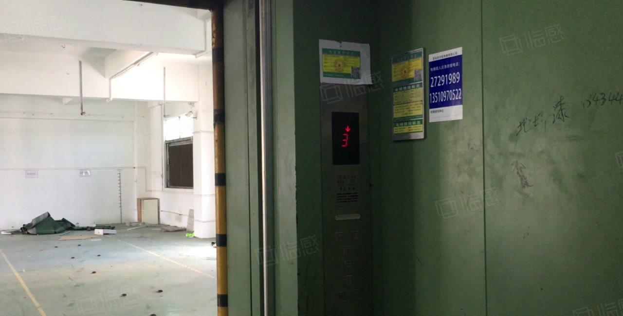 平湖新木工业园独院2百平5百平8百平1千平仓库厂房出租可分租