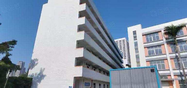 龙岗坪地原房东厂房出租500平起工业园工业仓库出租超大空地