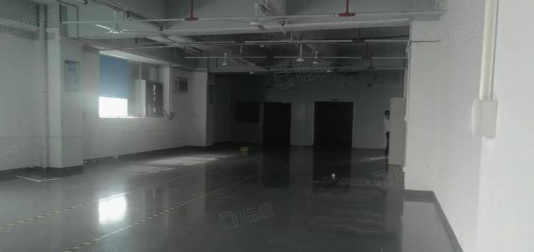 龙岗坪地高桥国际低碳产业园原房东实际面积1200平厂房出租