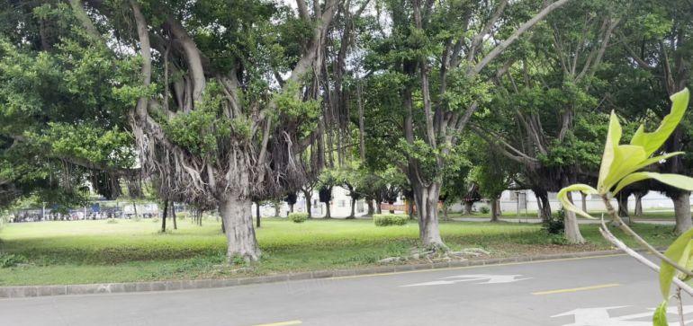 南联方兴科技园新出一层1500平方带精装办公室仓库厂房出租
