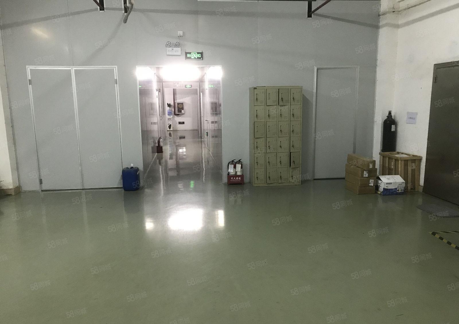分租或转让无尘车间厂房580平（龙岗宝龙）