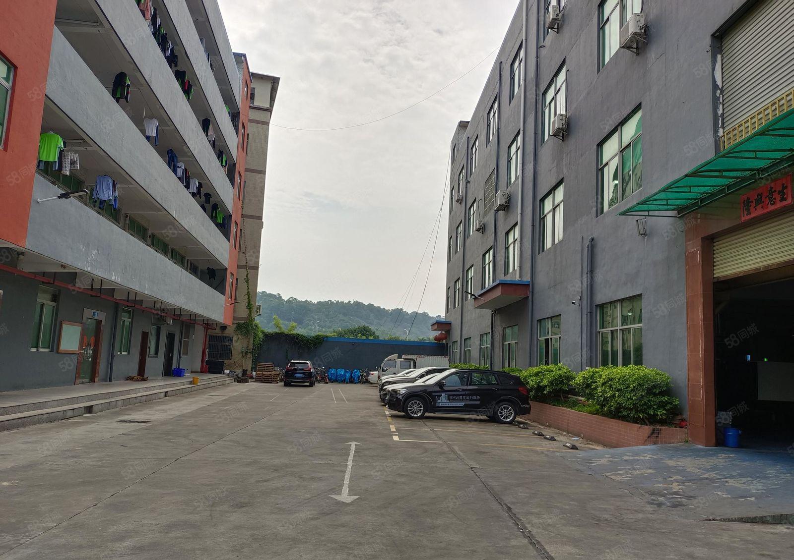 龙岗区龙东业主直租，独门独院7500平，价格可谈