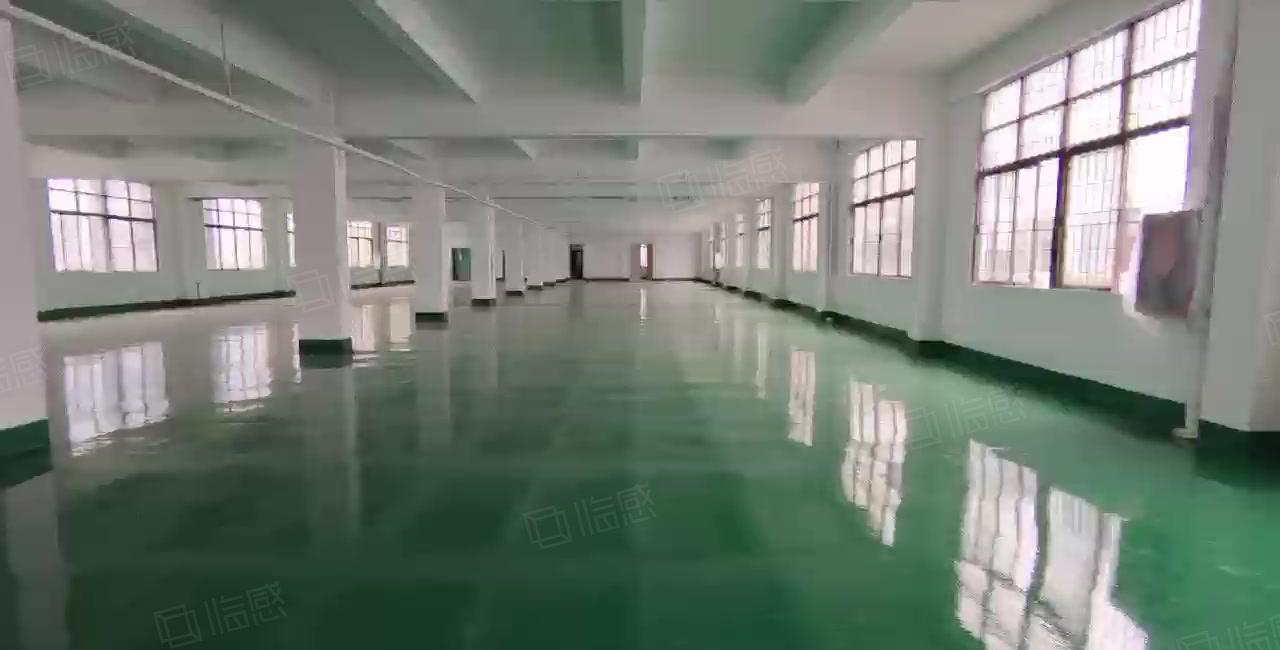业主直租爱联嶂背独院一二楼500平起租带精装修厂房仓库出租
