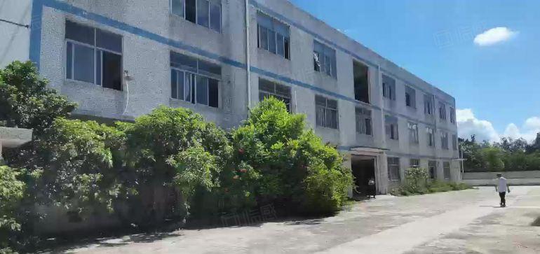 龙岗中心城新出唯一独栋4000平厂房出租可分租空地大带装修