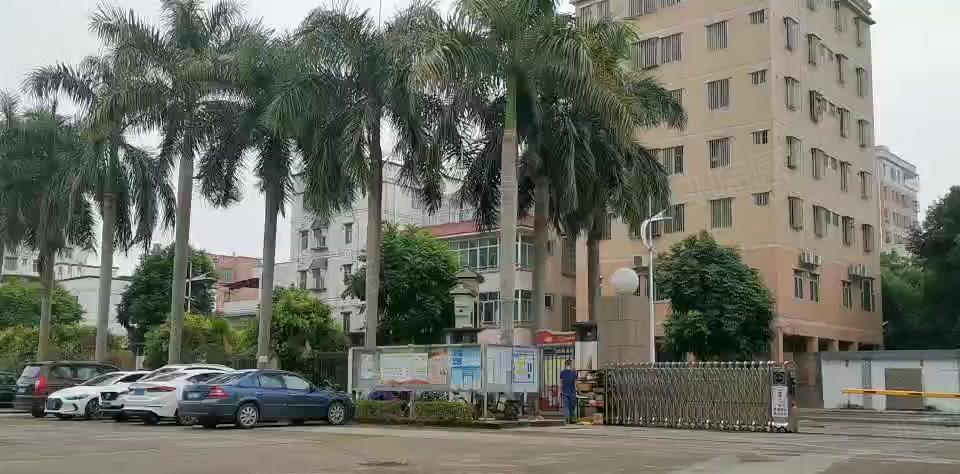 嶂背市场边大型园区新空出2楼360平方全新地坪漆厂房出租