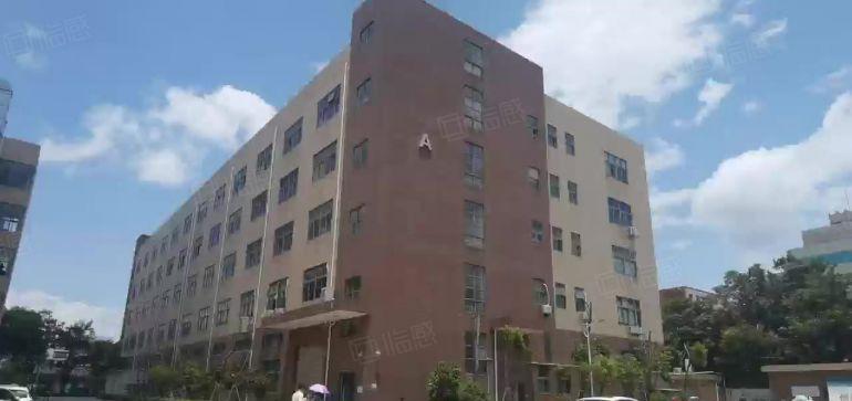 免租半年坪地高桥工业区1.2万平方红本厂房仓库出租可分租
