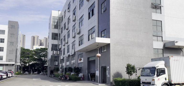 空地超大龙岗宝龙原房东高新园区独院出租，价格便宜，免租半年