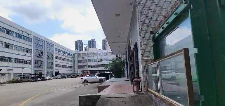 龙岗坪地厂房出租200平起工业园工业办公仓库一楼出租超大空地