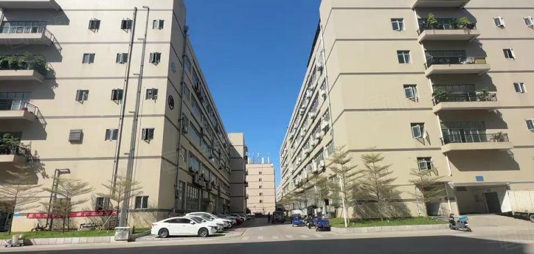 免租年底 坪地原房东工业园楼上1000平带3间办公室厂房出租