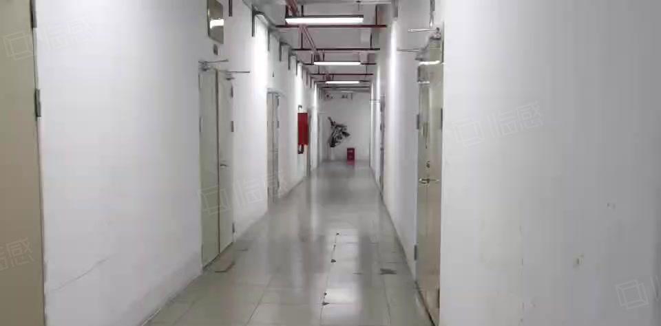 塘坑地铁站新出200平厂房，价格实惠