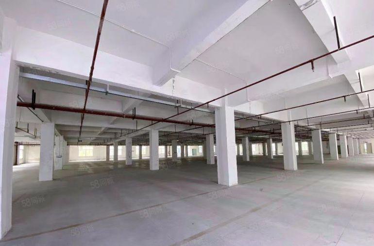 深圳龙岗低价红本一楼厂房出租