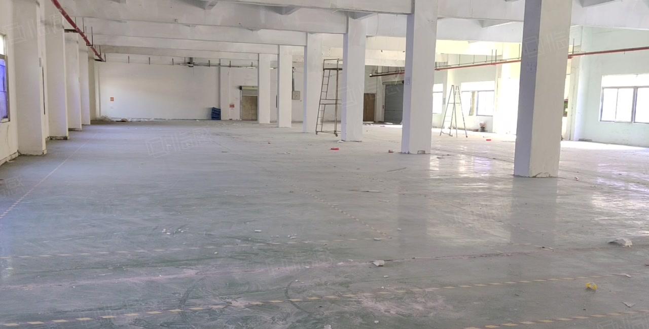 平湖新木工业区一楼2百5百8百1千平原房东仓库厂房出租可分租