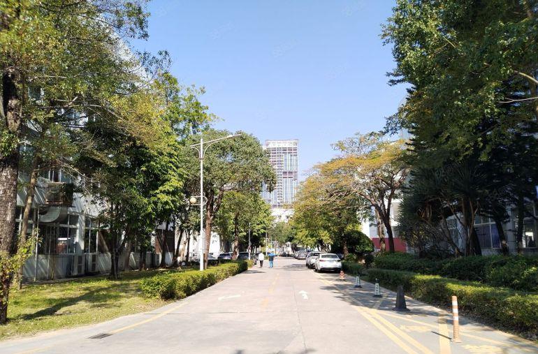 龙岗宝龙地铁口原房东工业园楼上500平带装修厂房出租 可分租