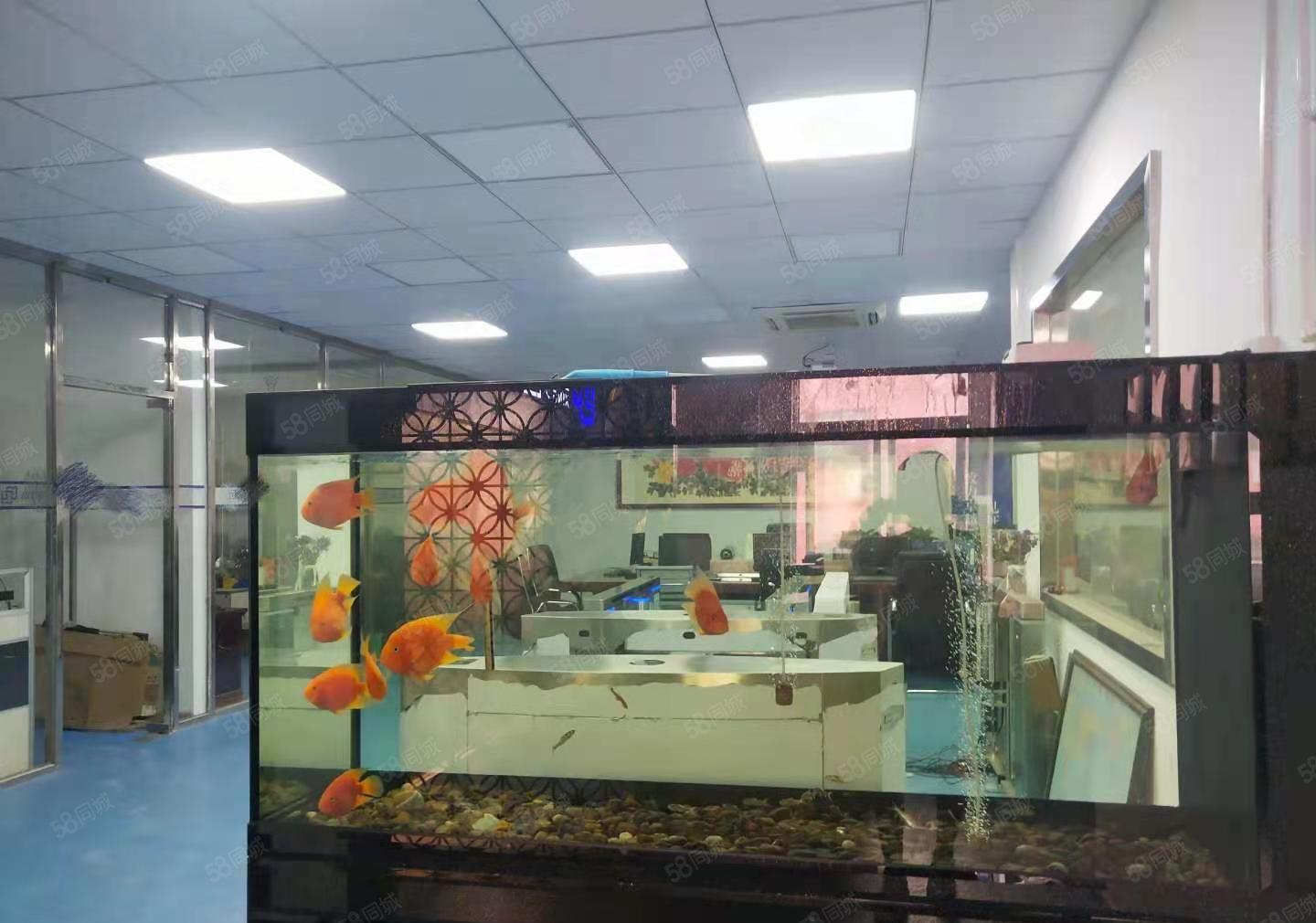 龙岗宝龙新出2000平米带装修厂房出租大小分租
