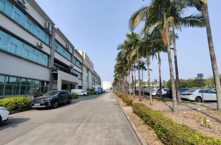 一手房东自主招租龙岗工业区新出1500平精装办公仓库厂房出租