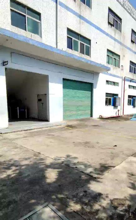 同乐爱南路边附近工业区内500平简装仓库电商研发厂房出租可分
