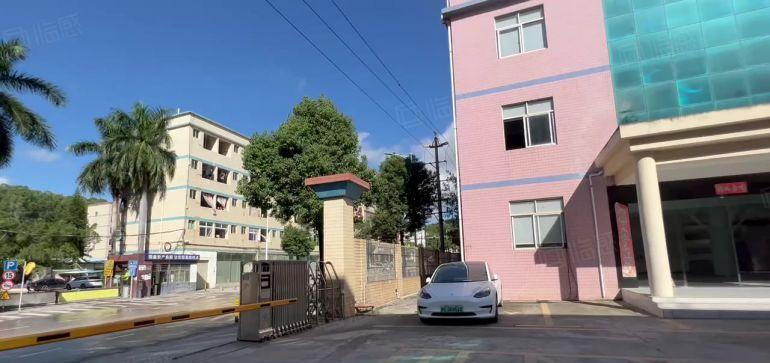 龙岗中心城独院一楼800平出租大小可分租带豪华装修办公室