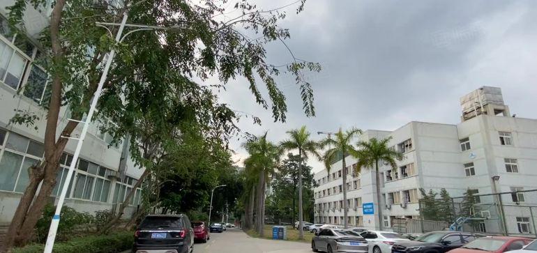 龙岗独院一楼低价仓库厂房出租1500平工业产业园可整栋可合租