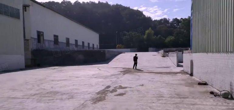 龙岗坂田杨美地铁站新出12米高钢构3600平厂房出租可分租