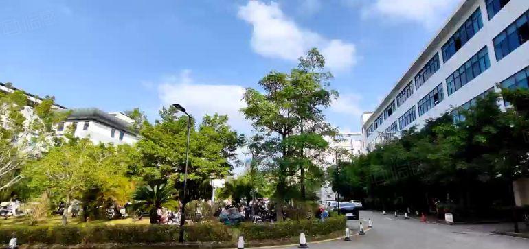 龙岗宝龙原房东红本厂房楼上2000平带精装厂房出租