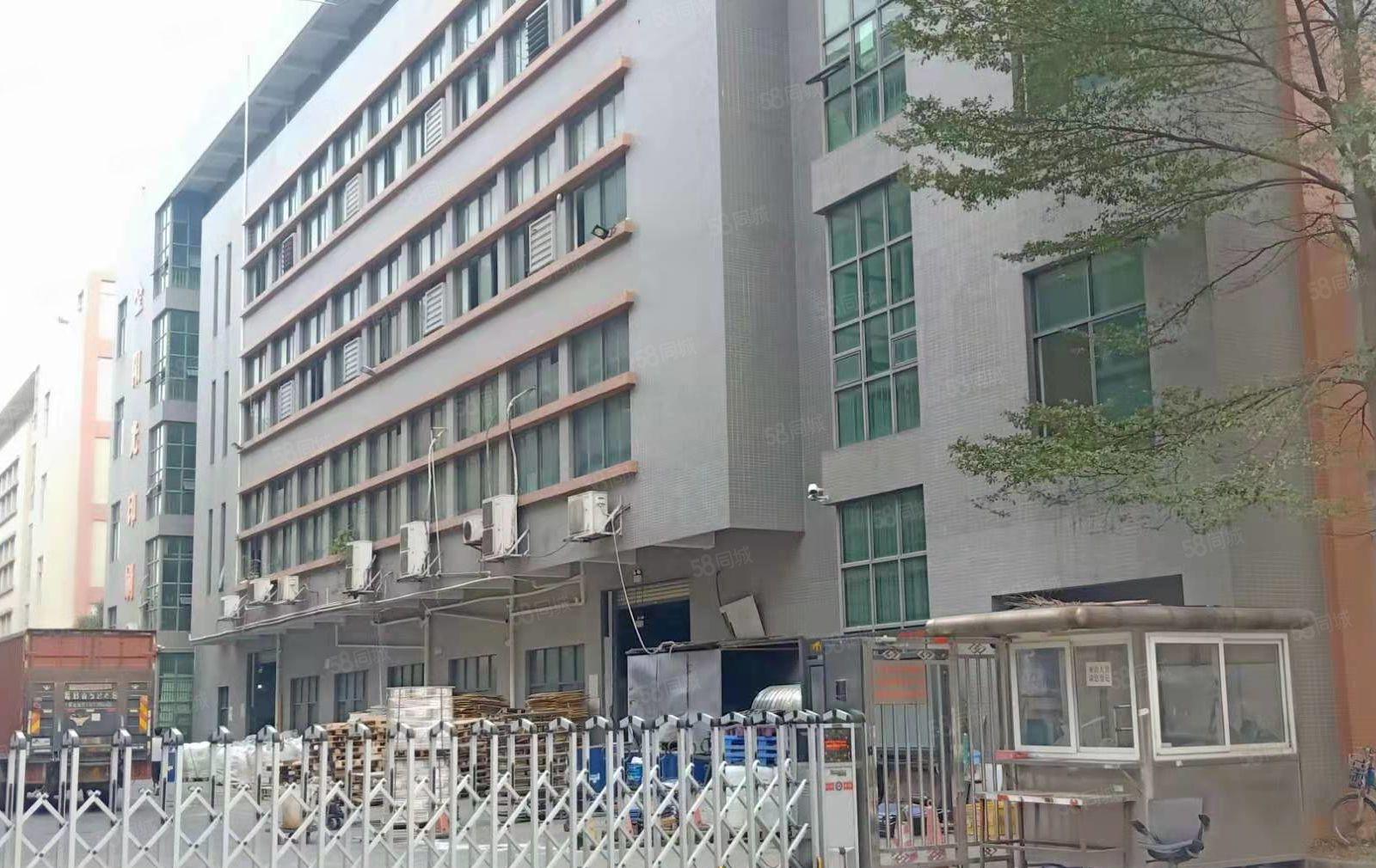 平湖华南城机荷高速出口3楼1200平方带精装修招租