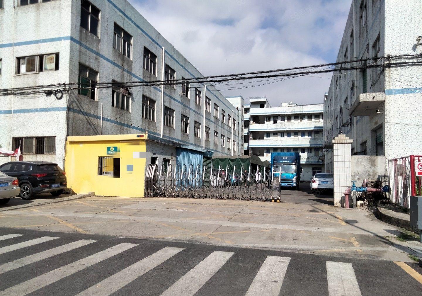 （出租）龙岗区吉祥地铁口原房东独门独院红本精装修大小分租