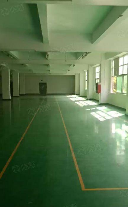 可分租平湖辅城坳新出7800平方独院厂房出租交通方便能办环评
