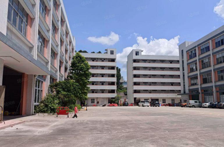 龙岗坪地低碳城附近工业楼上写字楼大小分租