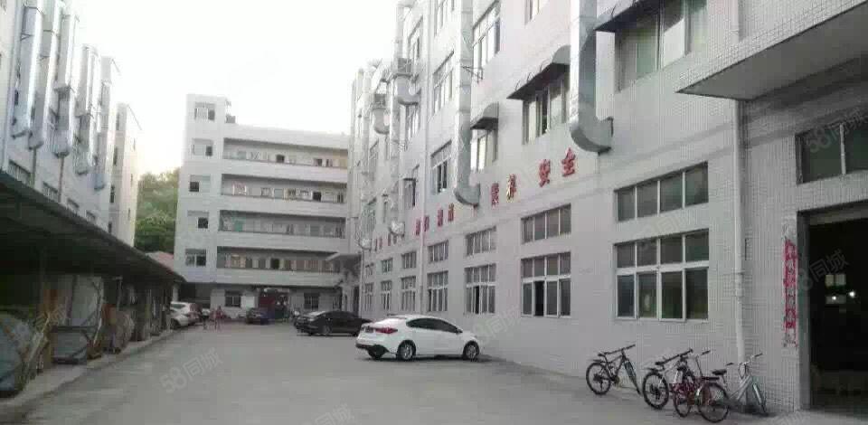 南联一楼厂房出租500平800平1500平五联龙西龙东同乐