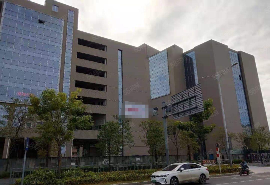 35元一楼龙岗红本独院26000平商业厂房出租每层高16米