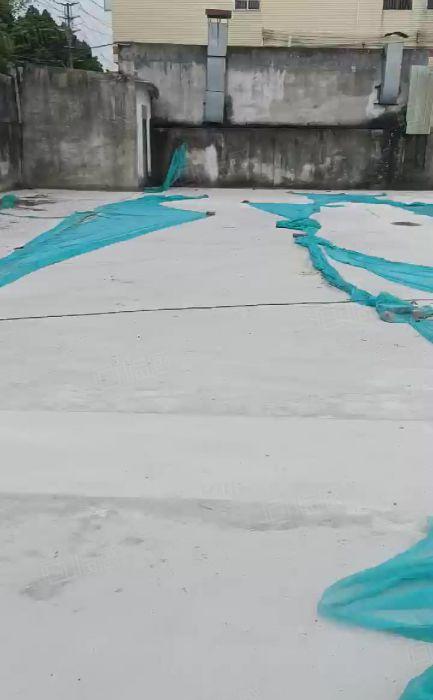 龙岗坪地坪东原房东独院钢构厂房5000平空地超大3000平
