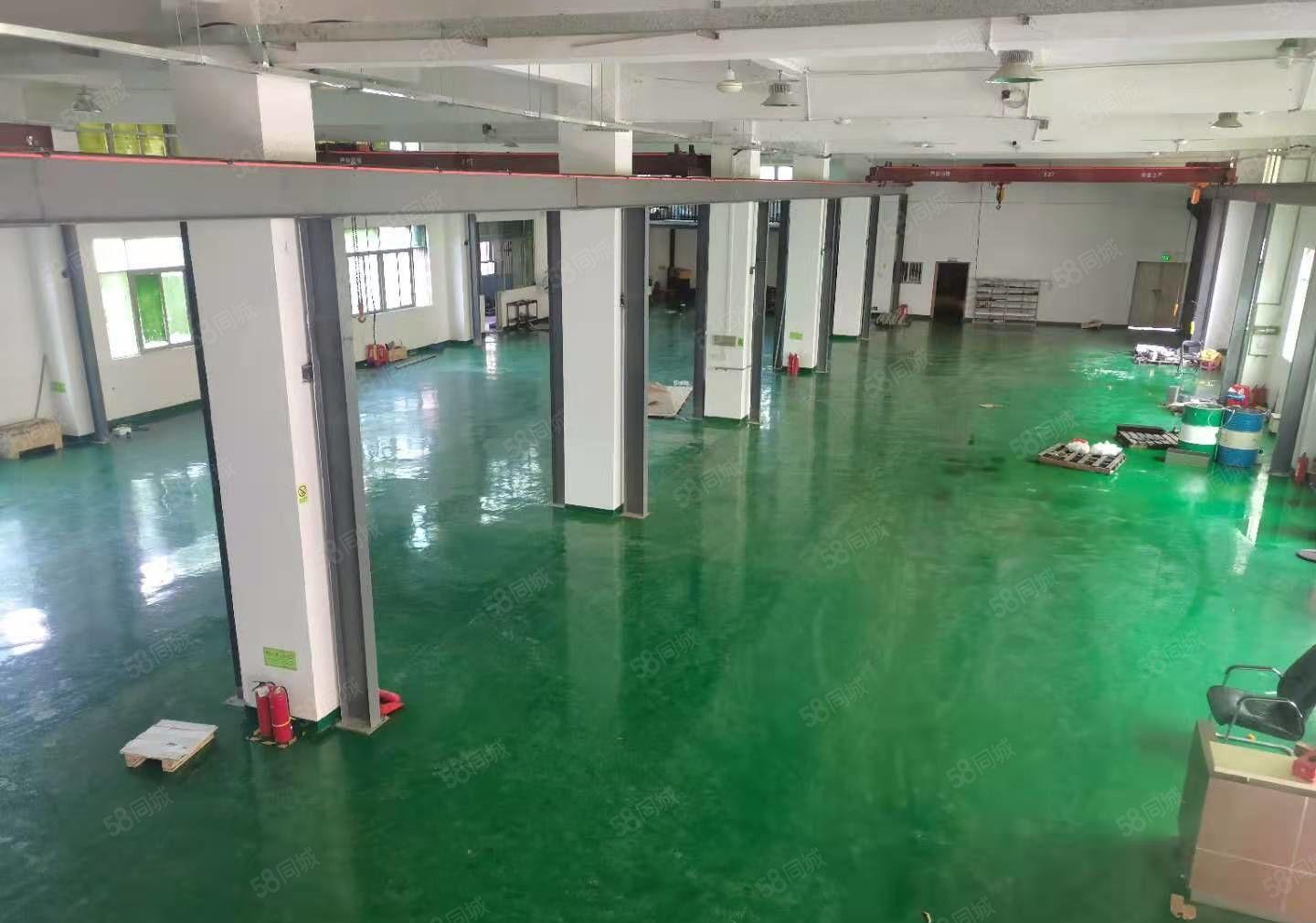 平湖富民原房东一楼1000平方带行车厂房出租
