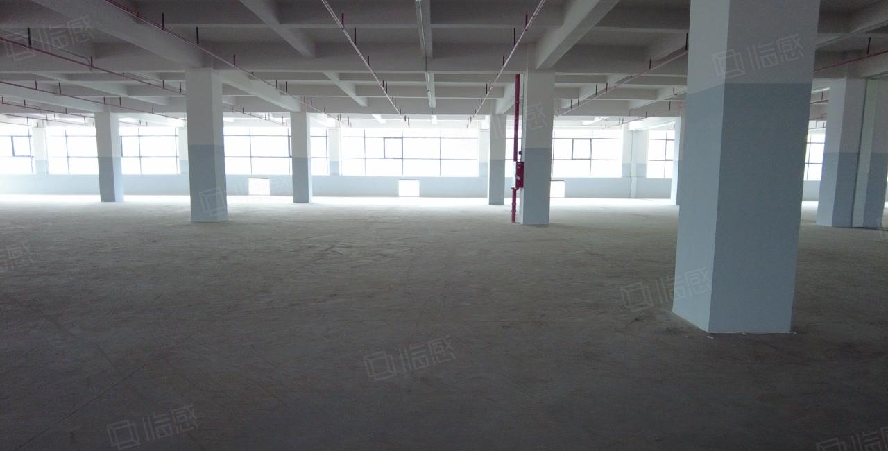 一手房东宝龙工业区新空出整栋500至6千平方红本厂房仓库出租