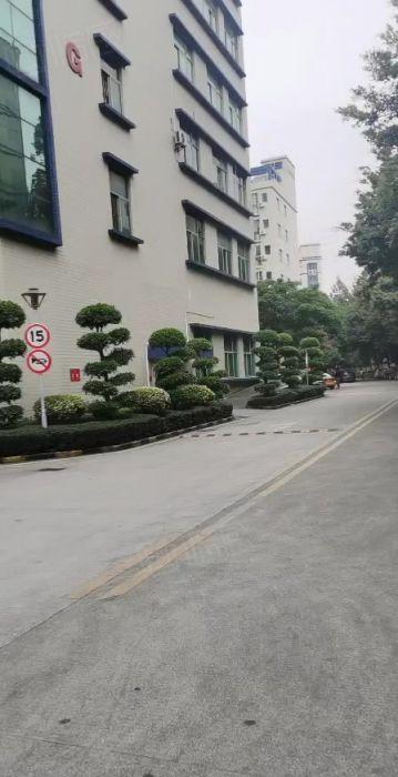 业主直租 布吉上雪科技园楼上500平带装修办公室厂房出租