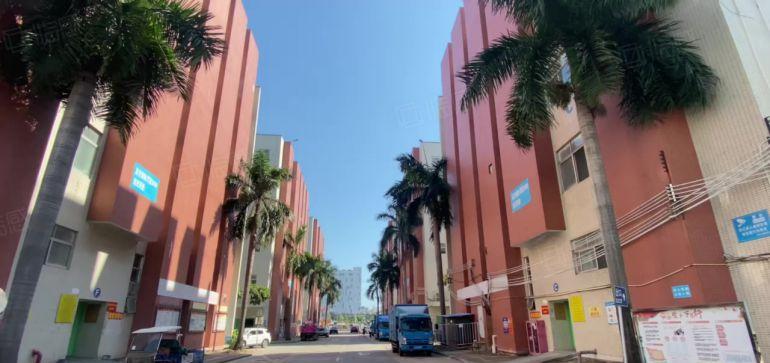 龙岗爱联地铁站新出3楼500平红本带装修办公仓库厂房出租